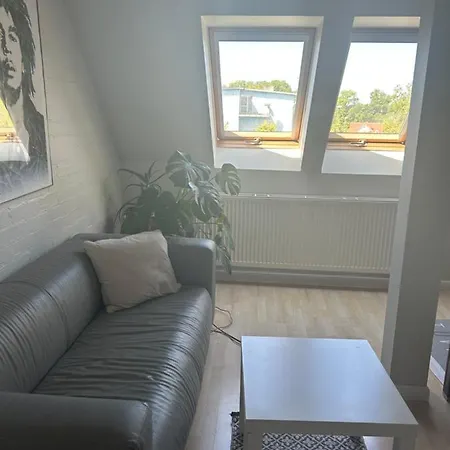 Pokoje Goscinne Pod Klonami Homestay *