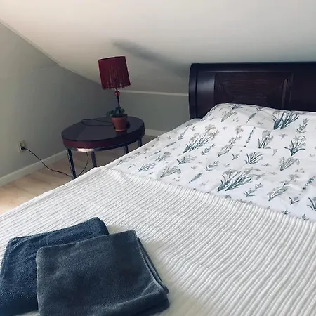 Pokoje Goscinne Pod Klonami Homestay *