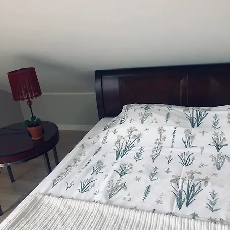 Homestay Goscinne Pod Klonami Mosty (Puck)